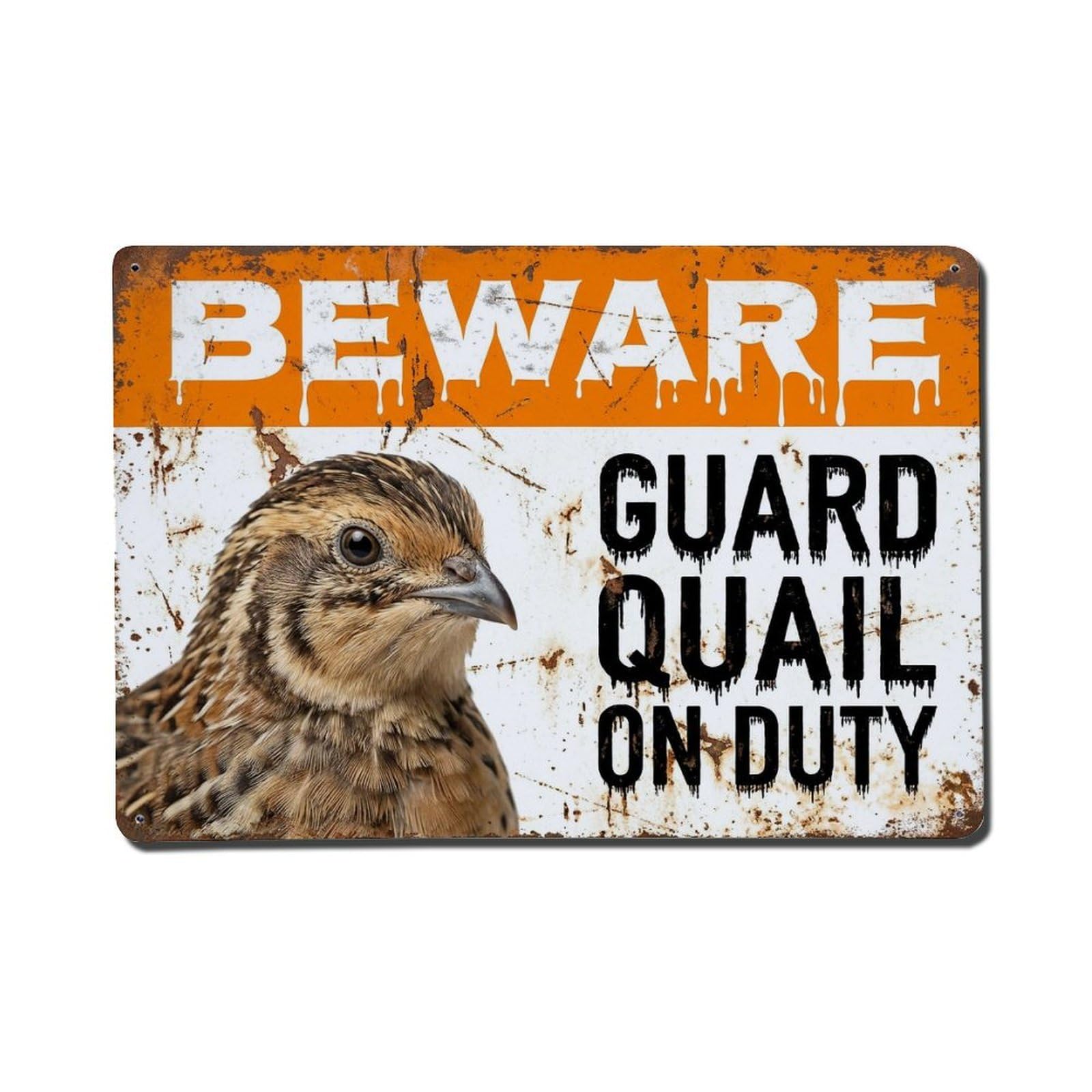 Vintage Funny Quail Guard Beware of Bird Stairway Metal Tin Sign