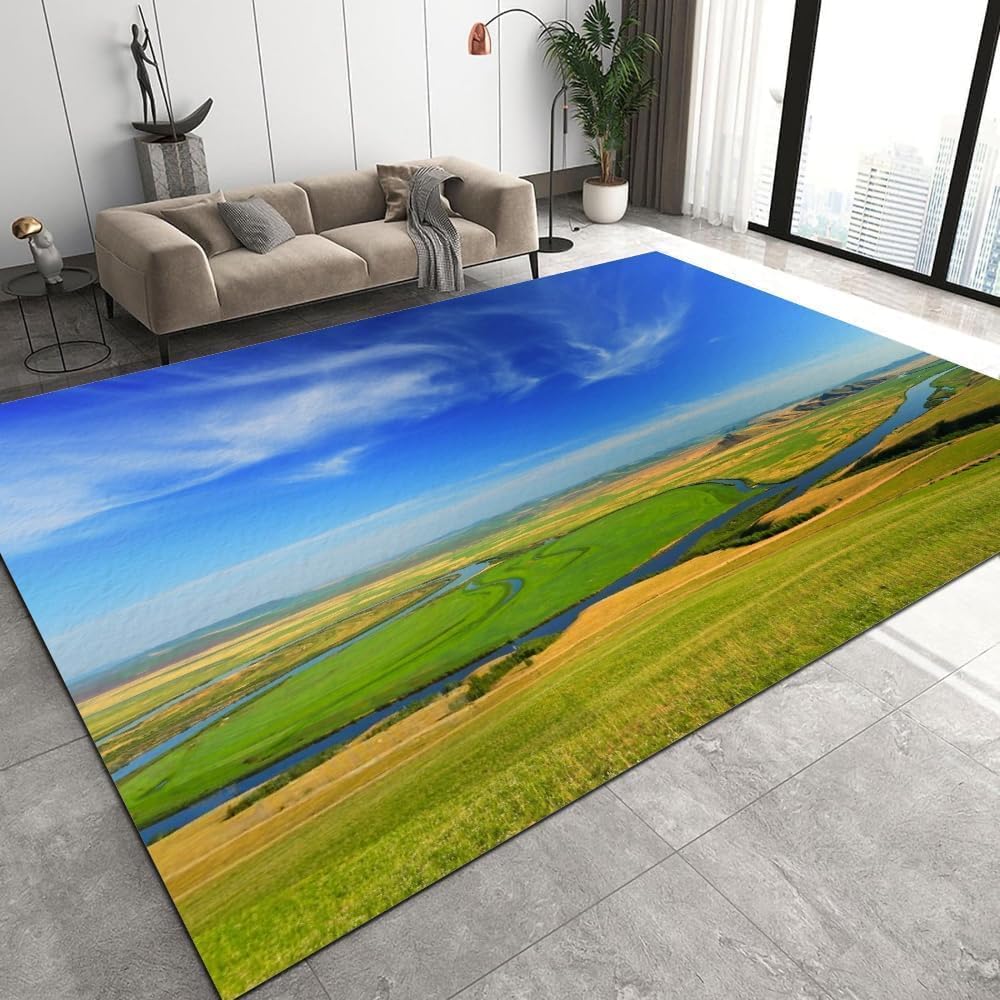 Tapis 3D lavable en machine grand format 150x210 cm avec dossier antiderapant