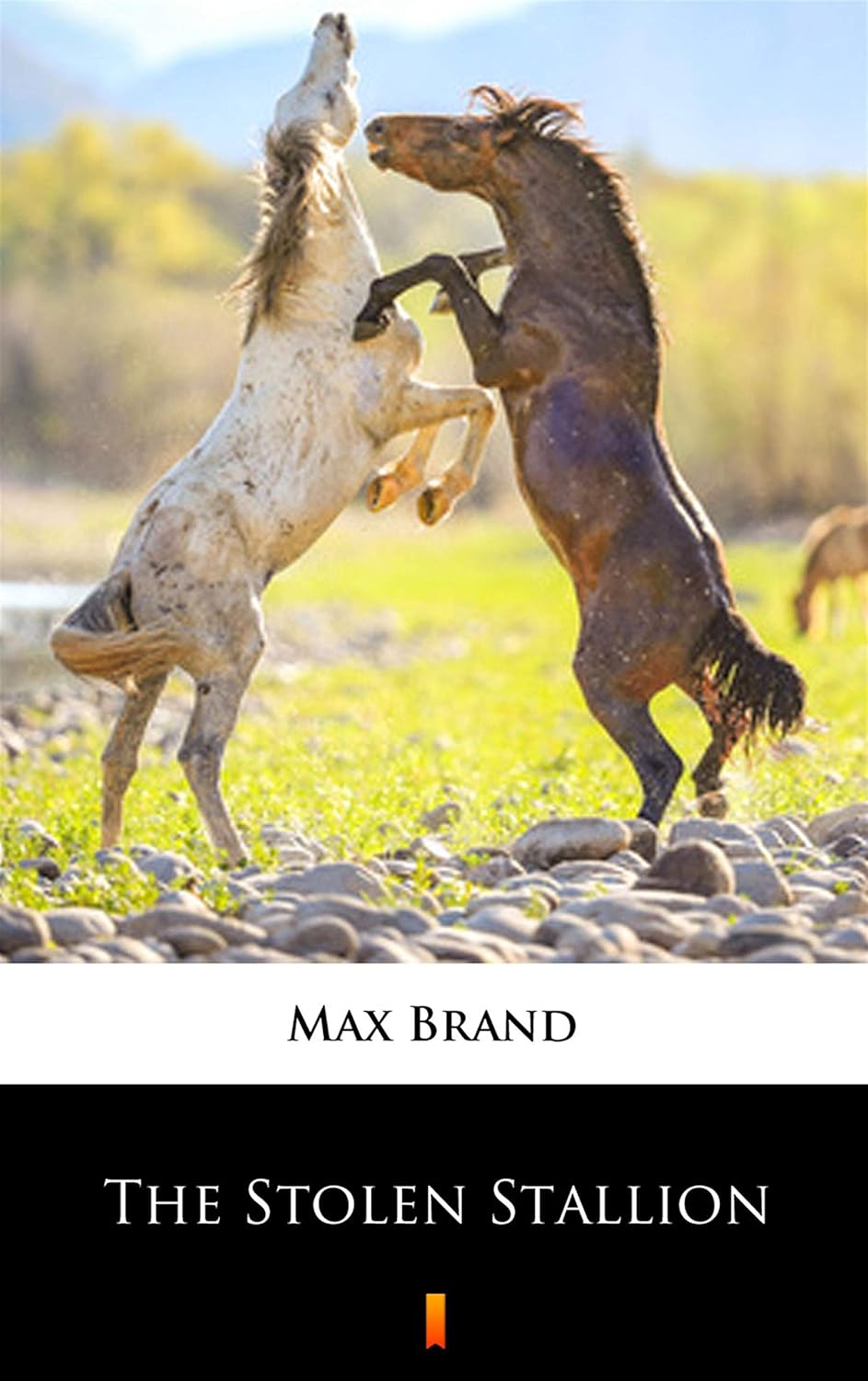 The Stolen Stallion      Kindle Edition
