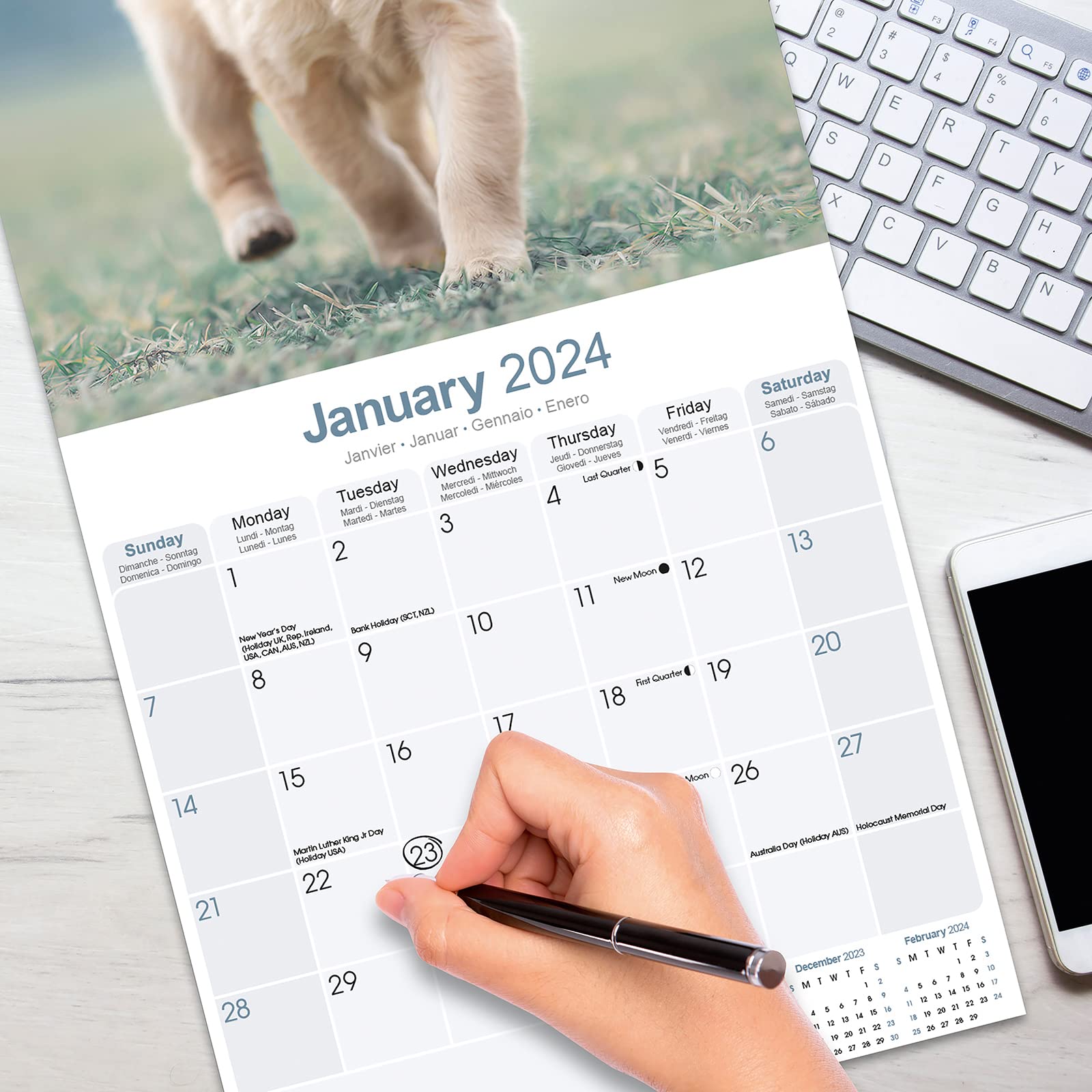 Golden Retriever Puppies - Golden Retriever-Welpen 2024 - 16-Monatskalender: Original Avonside-Kalender [Mehrsprachig] [Kalender] (Wall-Kalender)