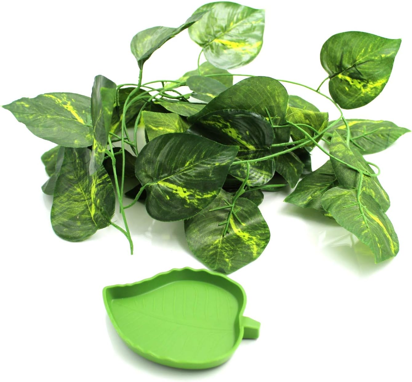 vitamina a per i rettili