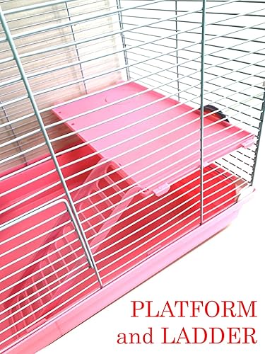 Miniatura 8 de Hámster Hábitat de 2 Niveles Roedor, Gerbil Ratones, Ratones, Ratones, Animales, Critter Home Cage con base acrílica profunda transparente, rueda