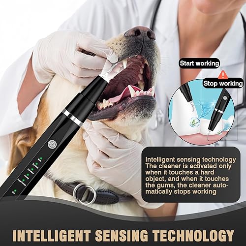 Miniatura 4 de Limpiador dental ultrasónico para perros, removedor de placa, dientes de perro, raspador dental, kit de limpieza para mascotas, cepillos de dientes