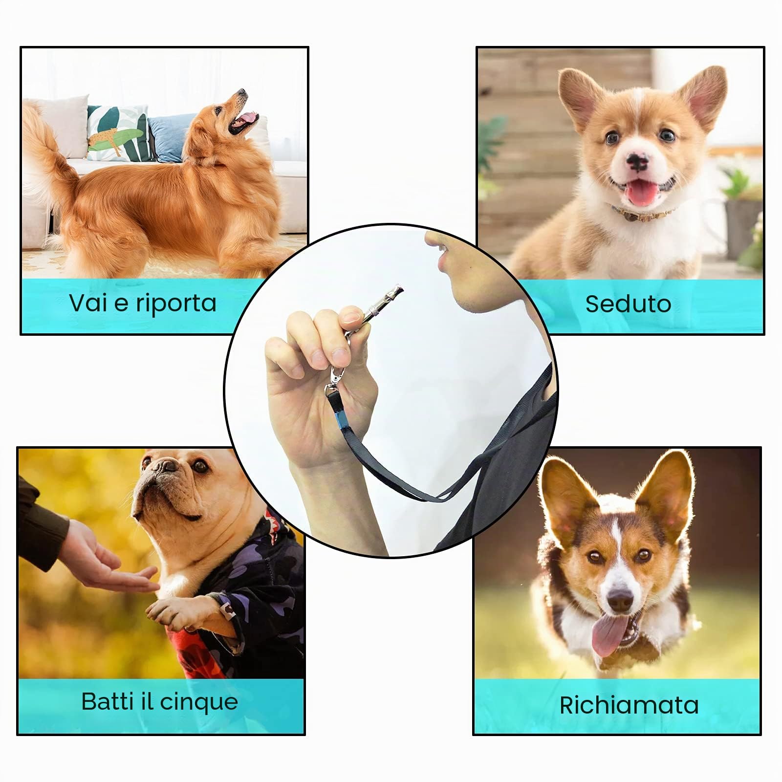 Andiker Fischietto per Cani, 2 Pezzi Fischietto per Animali Domestici ad ultrasuoni in Acciaio Inossidabile con Cordino, Professionale a frequenza Regolabile per l'addestramento al richiamo