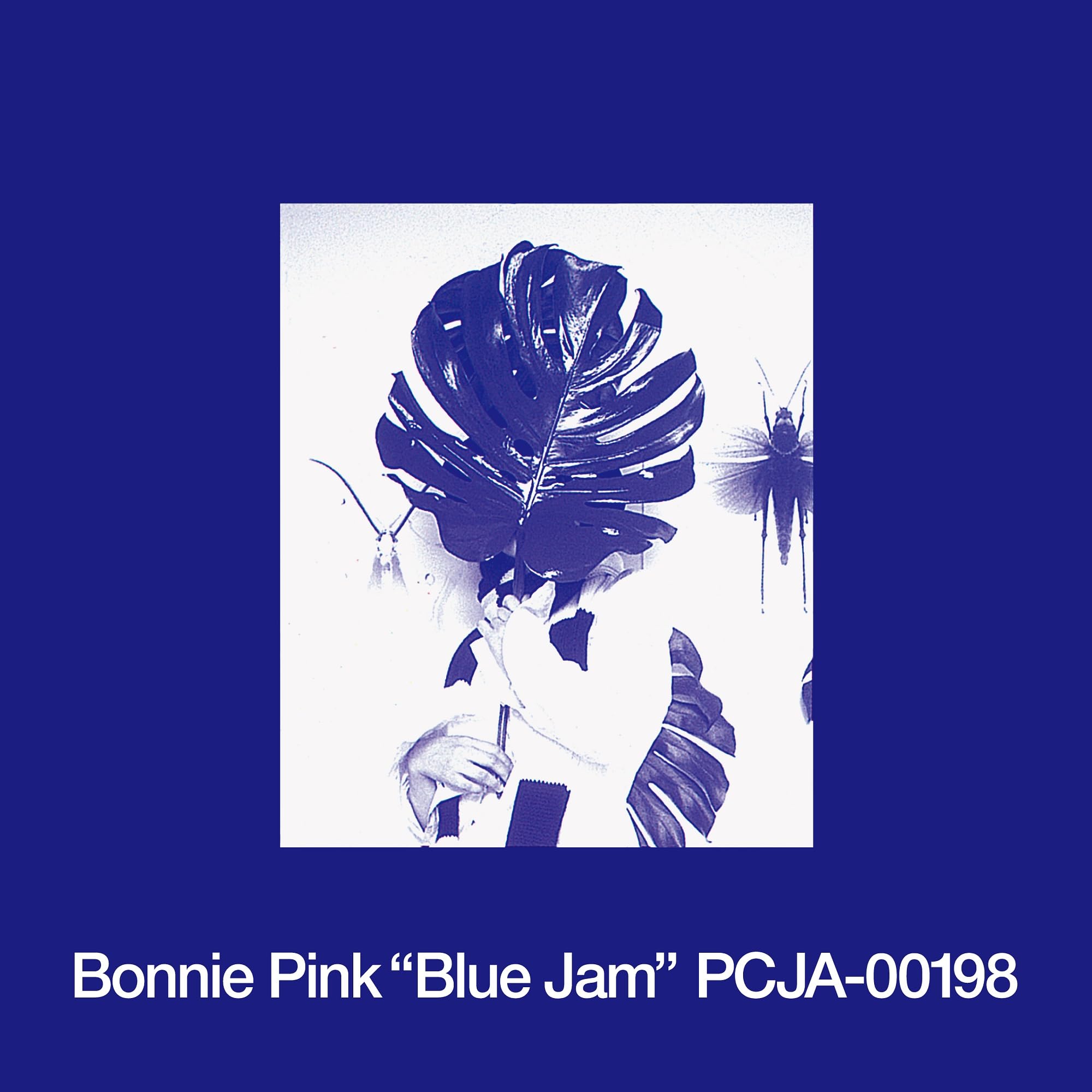 Blue Jam [Vinyl LP] [VINYL]