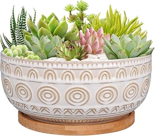 Eightpot 8 Inch White Ceramic Succulent Planter with Drainage Hole & Bamboo Tray - Spiral Design Shallow Pot for Indoor Plants