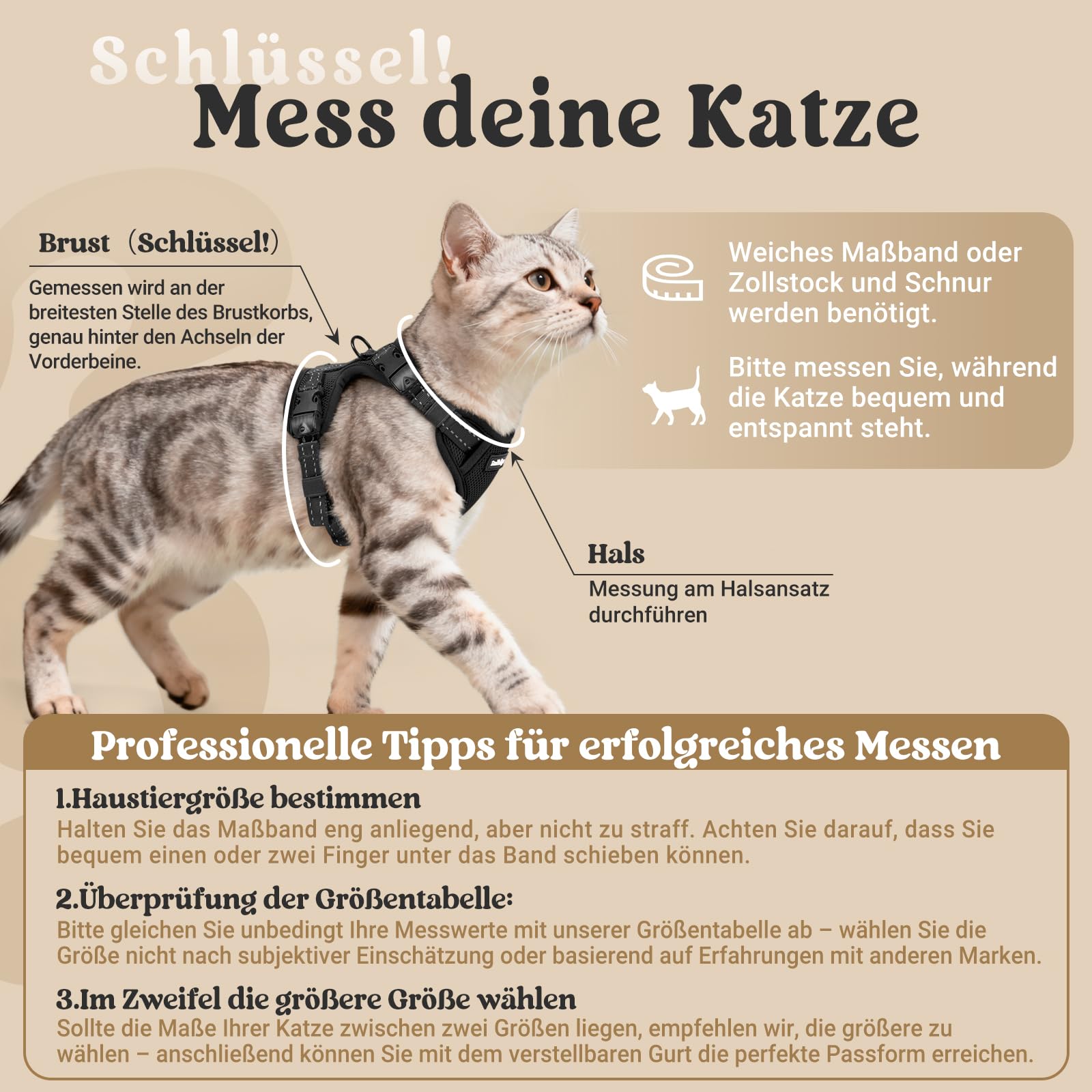 rabbitgoo Katzengeschirr mit Leine mit Hals-Klickverschluss, S, Schwarz | Kein Über-Kopf-Ziehen, Ausbruchsicher, Verriegelte Schnallen, Weiches Air-Mesh, Reflektierend, für Ausgewachsene Katzen