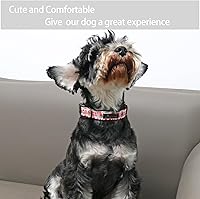 Vista 21 de Aring Pet Collar de algodón, ligero y ajustable, con hebilla de liberación rápida para perros pequeños, medianos y grandes, para cachorros, XS