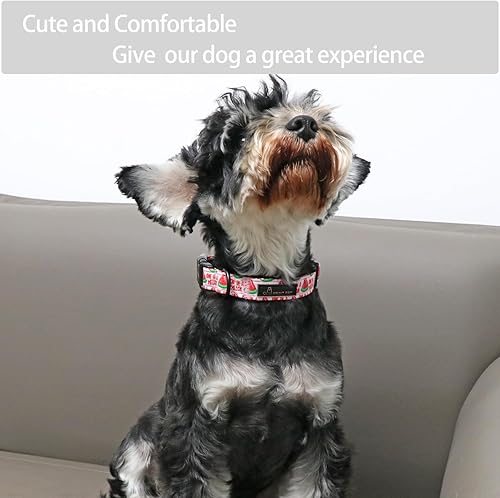Miniatura 5 de Aring Pet Collar de algodón, ligero y ajustable, con hebilla de liberación rápida para perros pequeños, medianos y grandes, para cachorros, M,
