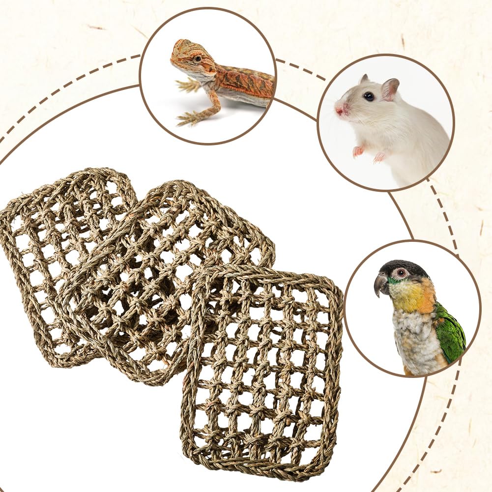 GORGECRAFT 3 Stück Vogel Klettermatte Für Papageien Sittiche Natürliches Seegras Gewebtes Netz Strickleiter Hängematten Käfigzubehör Für Unzertrennliche Sittiche Wellensittiche Nymphensittiche Tauben