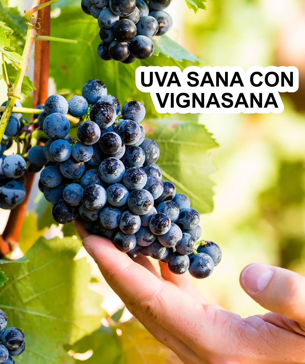 VIGNASANA Zeolite naturale 90% CLINOPTILOLITE 60% 5 kg