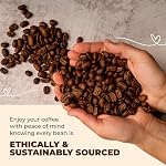 Haricots entiers de taille moyenne Coffee – Lisse & Arabica équilibrée pour Espresso, Brew froide & Verser – Spécialité fraîche grillée Kenya AA Haricots – 300g sac
