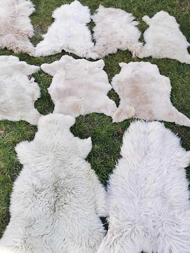 Provellus Piel de oveja ecológica auténtica piel de cordero piel de oveja marrón claro hasta 140 cm 2.…