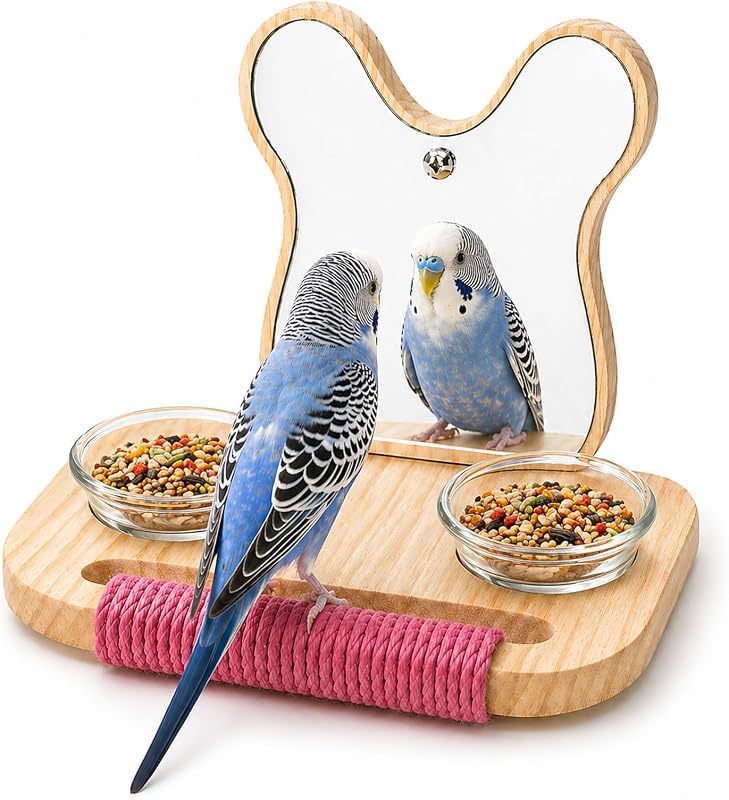 Balanço para Aves com Espelho, Poleiro e Comedouros LOPERDEVE TDZ-HS 10,16 x 10,16 x 5,08 cm