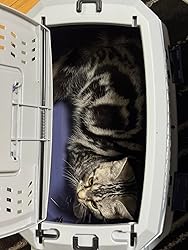 お客様イメージ