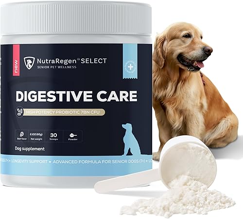 Nutraregen Select Digestive Senior Dog Probiotic Powder 30 porciones  Probióticos para perros con sabor a carne de res para la salud digestiva,