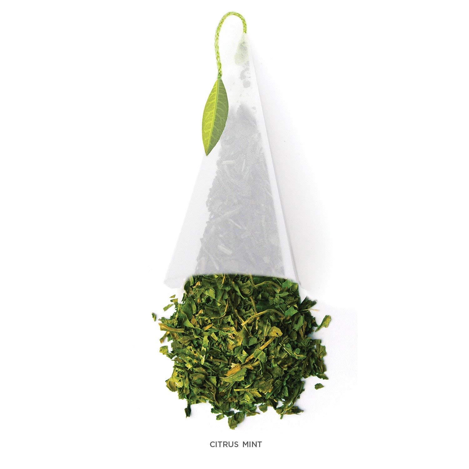 Tea Forte Citrus Mint Herbal Tea Event Box, Bulk Pack of 48 Pyramid Infuser Tea Sachets for All Occasions