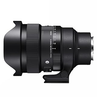 Sigma 15mm f/1.4 Fisheye DG DN Art Lens for Sony E Mount Mirrorless Camera Lens