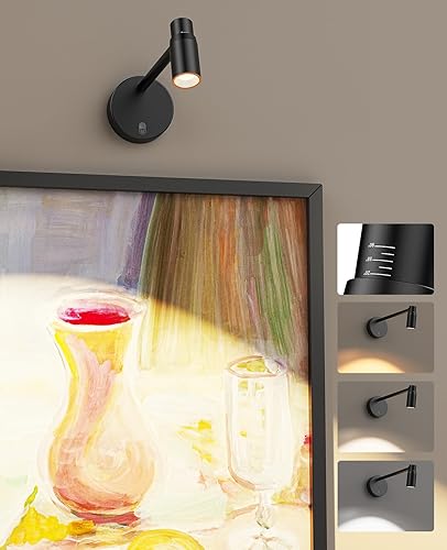 PESUTEN Luz de imagen con zoom para pared, funciona con pilas, luz de arte para pinturas, foco regulable CCT para pared, luz de pared con control