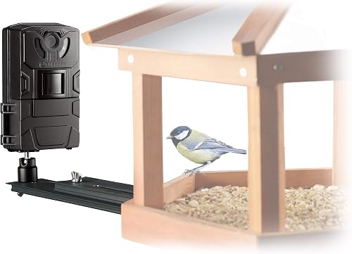 BRESSER Cámara de vigilancia SFC-1 para Aves domésticas u Otros Animales pequeño
