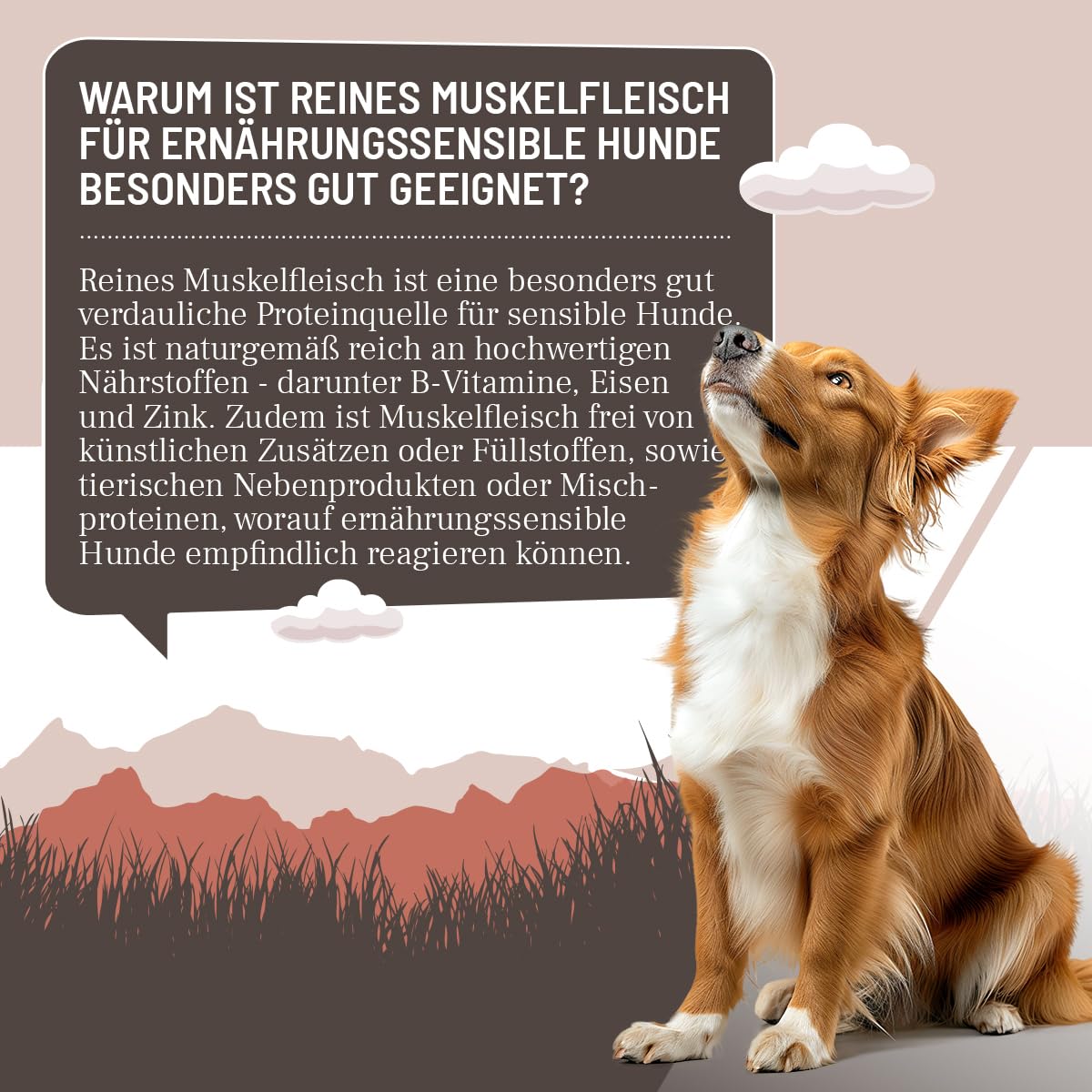 ReaVET Premium Hunde Nassfutter - Rind PUR 6 x 800g I Reines Muskelfleisch, Hypoallergen, ohne Getreide & Zusätze, Hundenassfutter sensitiv für Allergiker