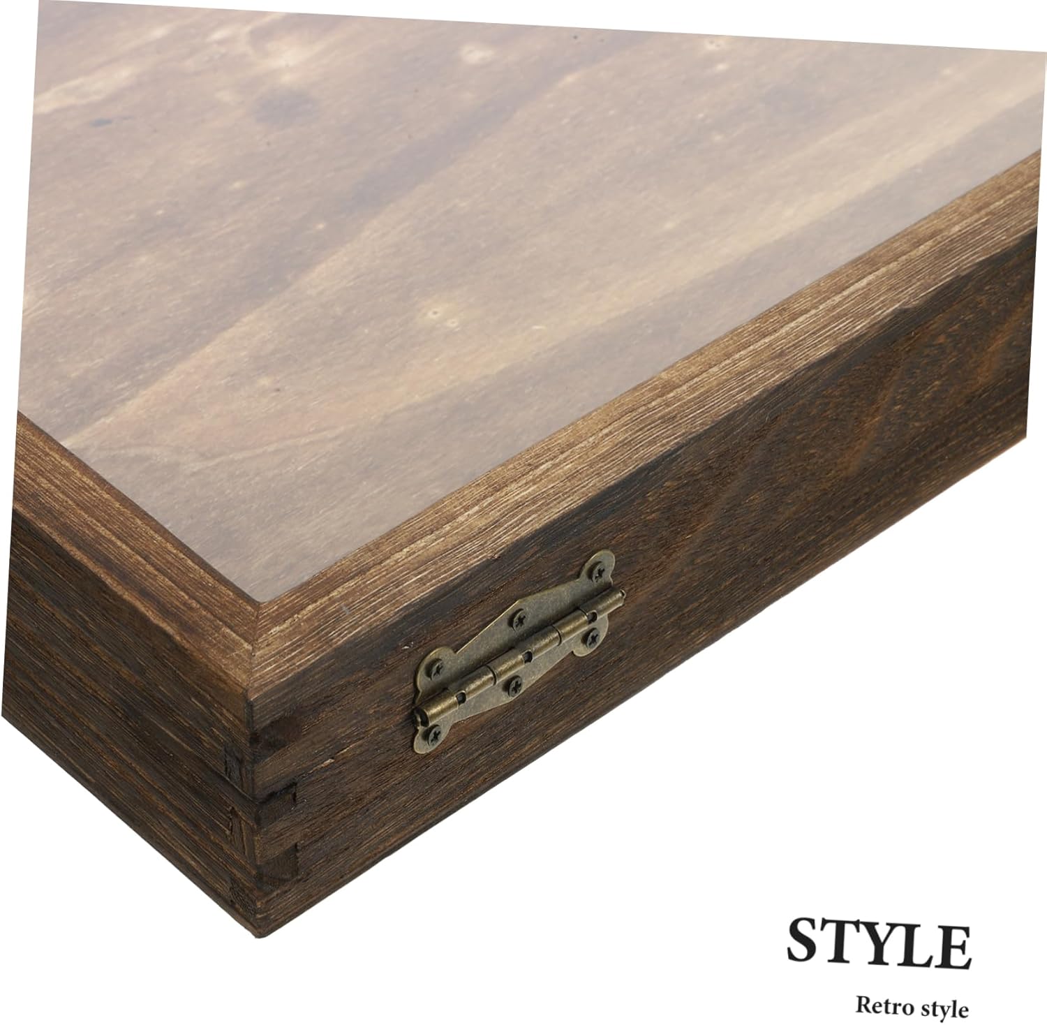 Vintage Insect Display Case Box with Lid Acrylic Wooden Butterfly Specimen Holder Wall-Mountable Insect and Plant Storage for Nature Collectors