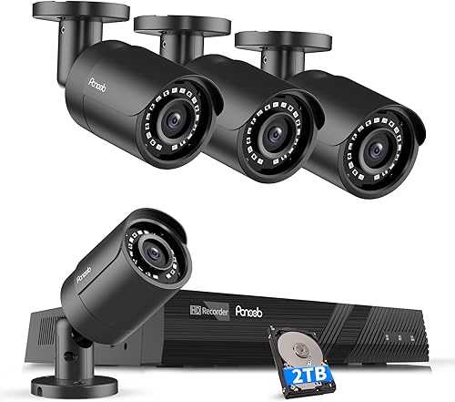 Sistema de Cámaras de Seguridad 4K PANOOB PoE, 4X Cámaras IP PoE de 8MP con Cable para el Hogar con Micrófono, Detección de Humanos/Vehículos con