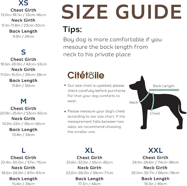 CITÉTOILE Dog Life Jacket, Adjustable Ripstop Shark Life Jacket, Lightweight and Safe for Water Sports, M - 3