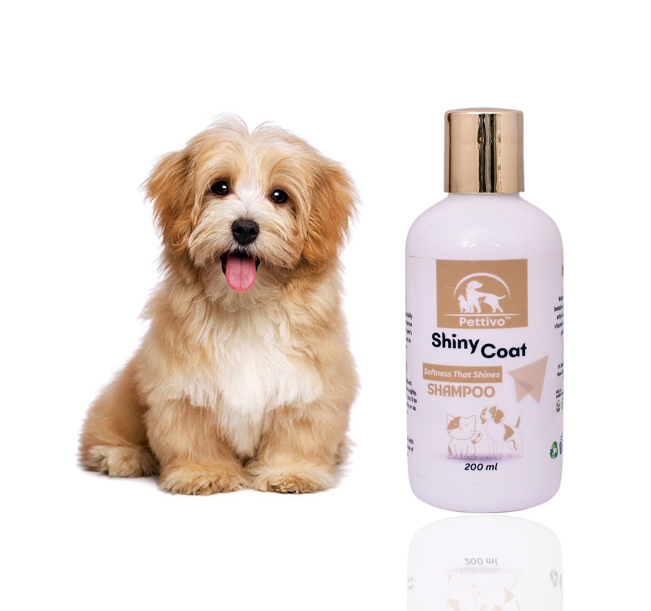 See full amazon price history chart for Pettivo Shiny Coat Shampoo for All Dog & Cat Breed | Pet Bathing | Healthy Shiny Coat for Nourishing Hair, Healthy Coat & Shiny Body Cleanser | Natural Moisturizing Shampoo - (200ml) Pettivo Shiny Coat Shampoo for All Dog & Cat Breed | Pet Bathing | Healthy Shiny Coat for Nourishing Hair, Healthy Coat & Shiny Body Cleanser | Natural Moisturizing Shampoo - (200ml) (B0D2TJV6LP) Amazon Price History, Amazon Price Tracker