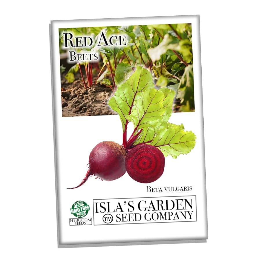 Mr Fothergills Antirrhinum Tom Thumb Mixed Seeds | Bedding Seeds