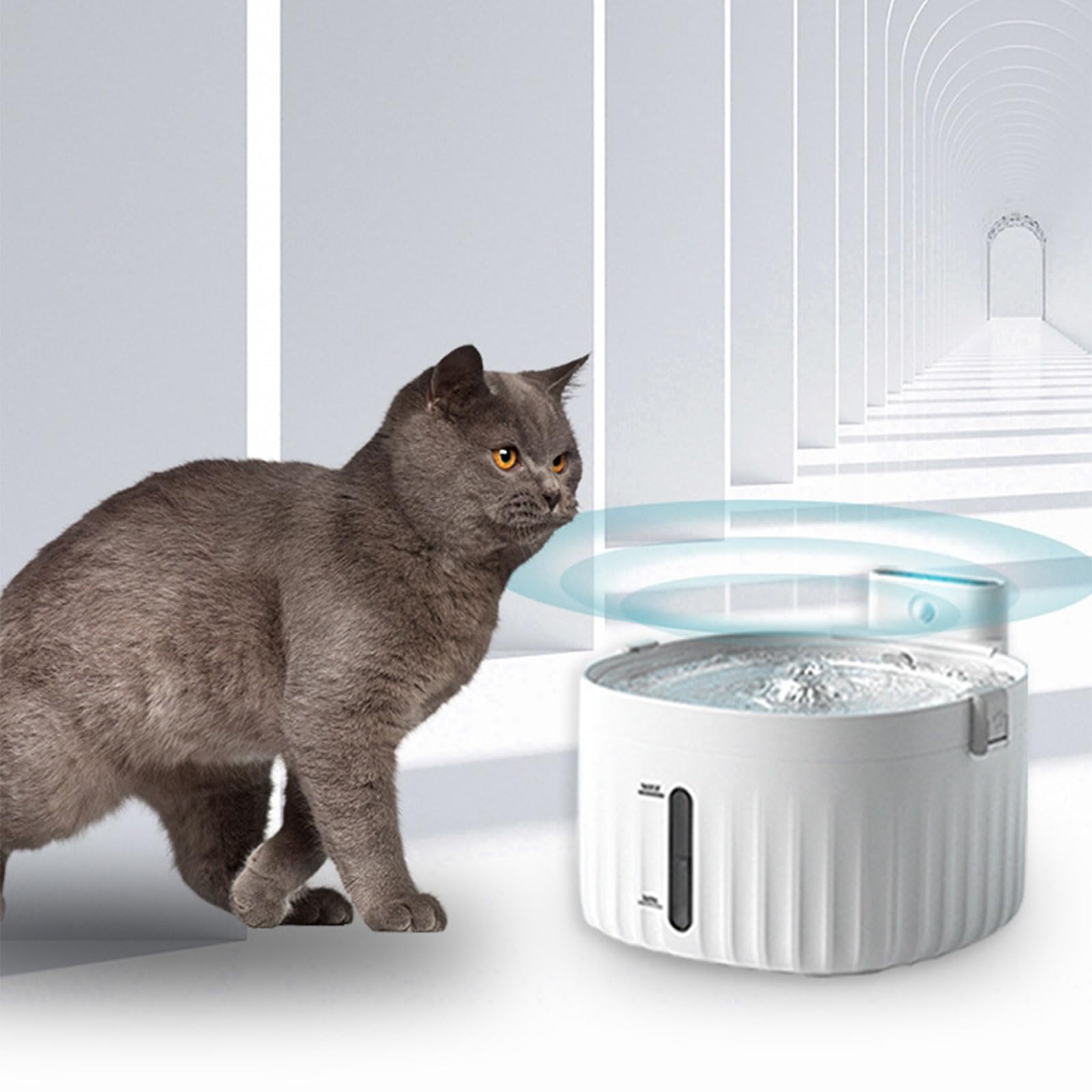 Dispensador automático de fuente de agua para gatos y mascotas, para perros, bebederos, recipiente, suministros de alimentación de agua, fuente con luz
