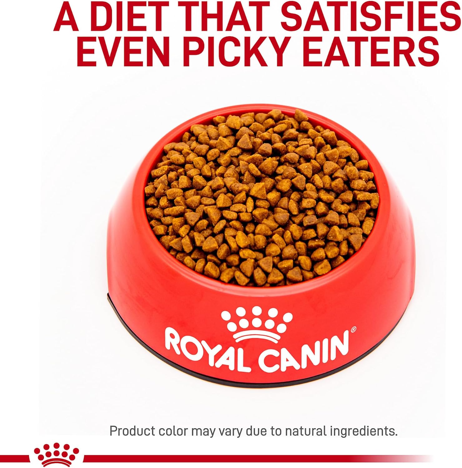 Royal Canin Veterinary Diet Feline Gastrointestinal Kitten Dry Cat Food, 7.7 lbs.