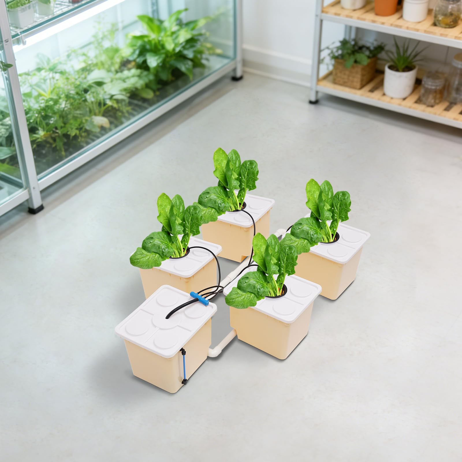 Juego de cubos hidropónicos, sistema DWC con 5 cubos, 4 vasos de red, bomba de agua de 4 W 300 L/h, 11 L de capacidad por cubo, juego de cultivo hidropónico para verduras, hierbas y flores
