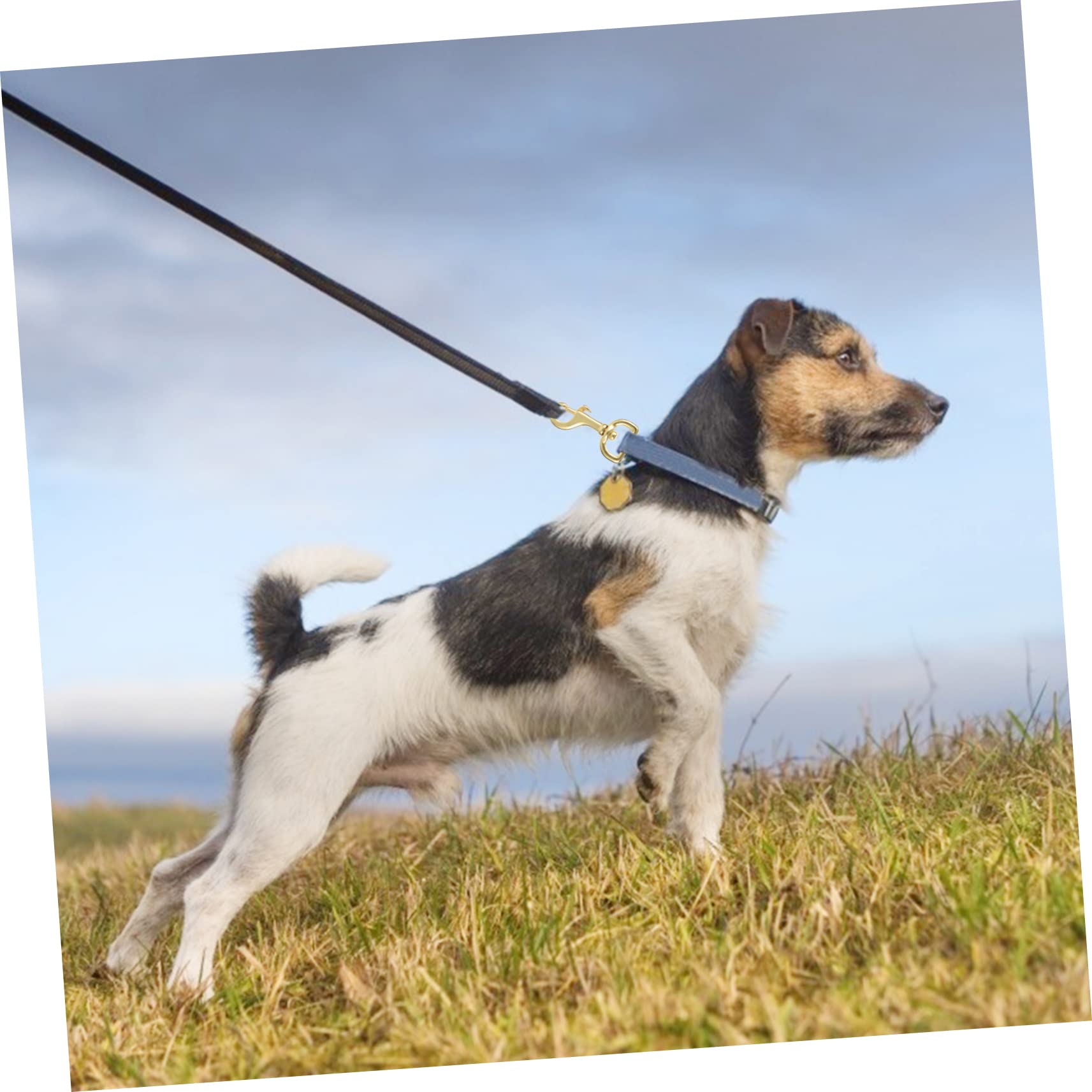 TOGEVAL 2pcs Swivel Eye Bolt Snap Hooks for Scuba Diving Dive Clips Heavy Duty Swivel Bolts Diving Clips