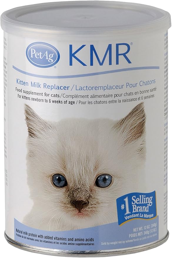 colostrum for kittens