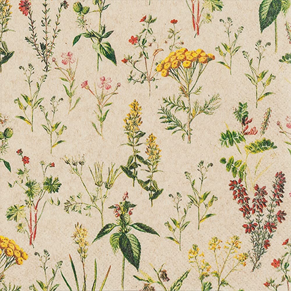 20 tovaglioli Eco Line sostenibili in 100% carta riciclata Buon appetito | scritta | testo | cibo | decorazione da tavolo 33 x 33 cm