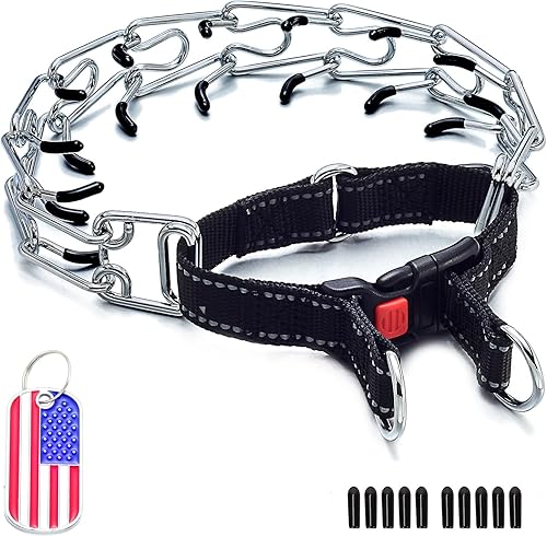 JanToPet Collar de perro con correa ajustable de nailon para perros pequeños, medianos y grandes, placa de identificación (NL, AD-A)