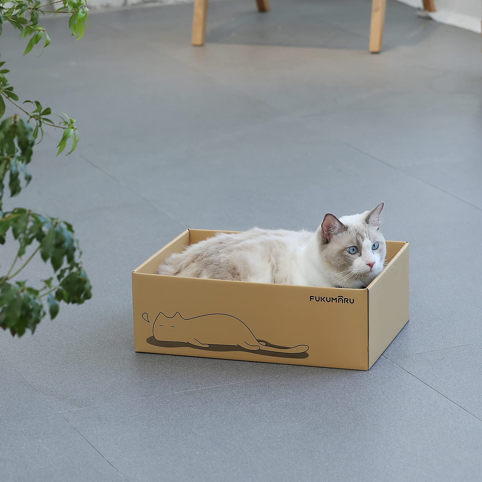 Amazon | FUKUMARU 猫 つめとぎ ダンボール 爪とぎ 段ボール 猫用 両面