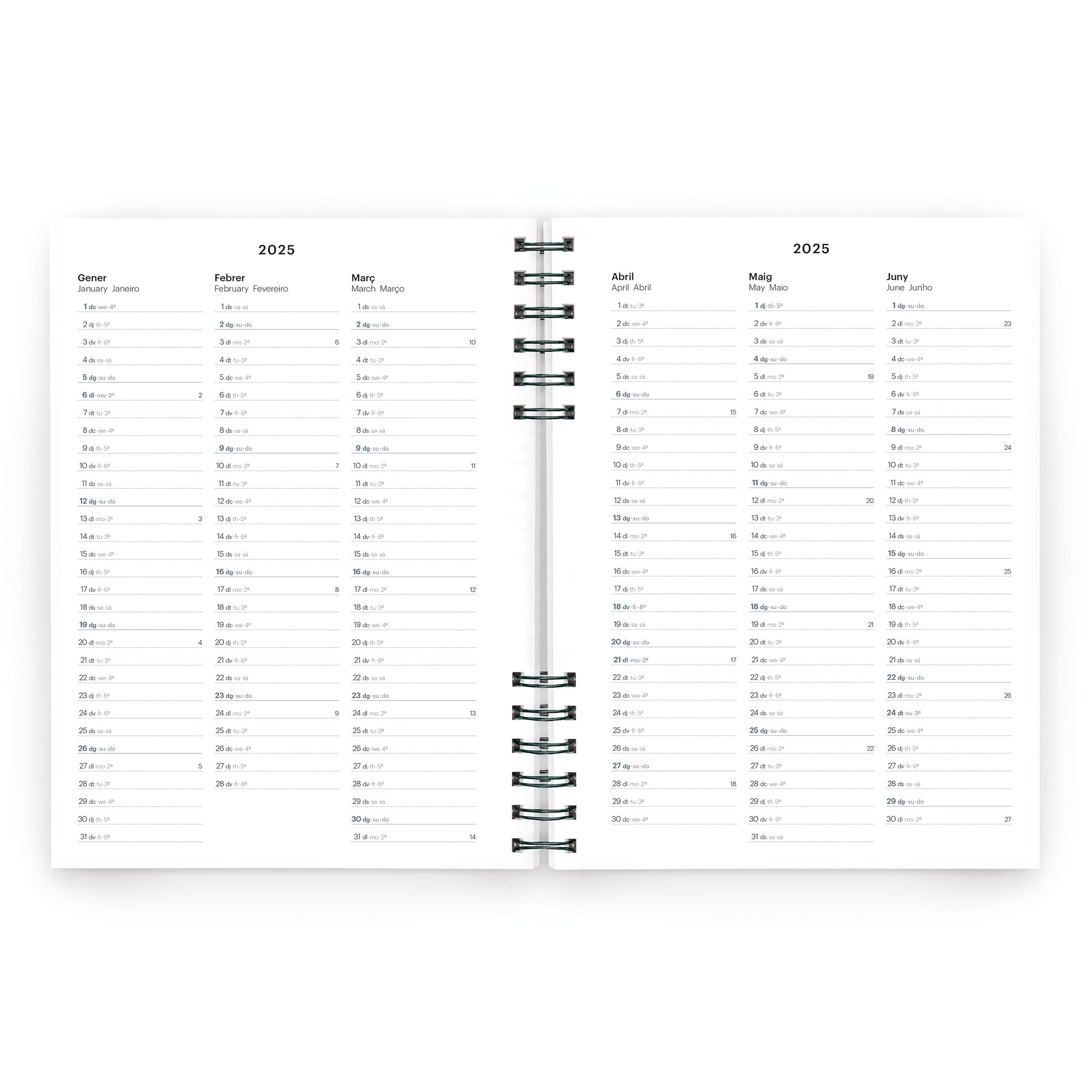 Miquelrius - Agenda 2025, Agenda annuale 155x213 mm, Agenda settimana vista, copertina in cartone foderato, carta sostenibile 100 g/m², chiusura gomma, catalano, inglese e portoghese, verde