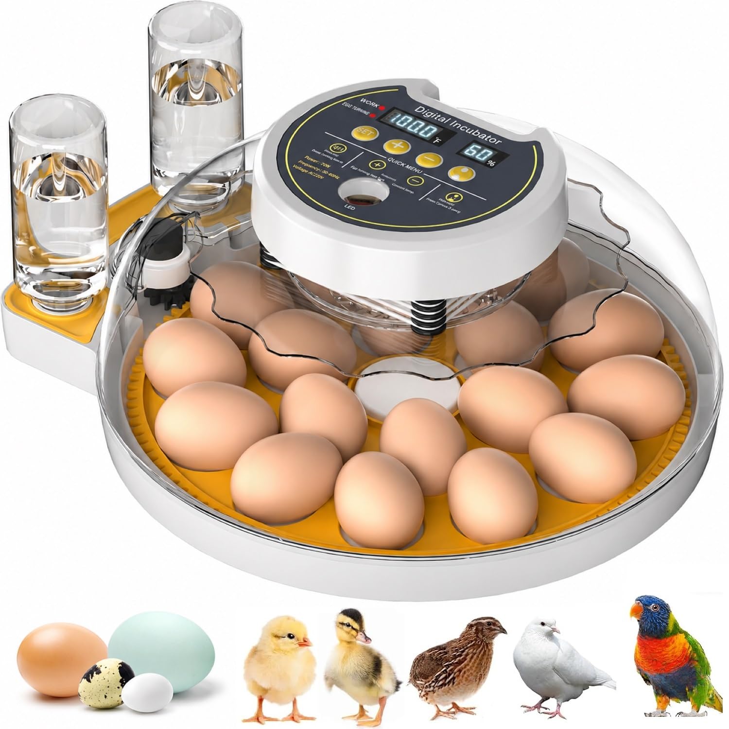 Couveuse Oeuf Automatique 18-60 Oeufs, professionnel Incubateur Oeuf Automatique avec contrôle de l'humidité, retournement automatique des œufs, incubateur pour œuf de poule caille canard volaille | taux d'éclosion élevé, Température précise,Contrôle de l