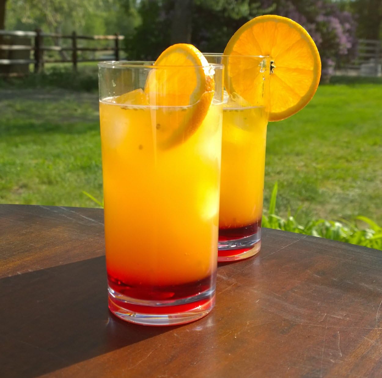 WineTanium Unbreakable Highball 17 oz Plastic Glasses - 100% Tritan - Shatterproof, Reusable, Dishwasher Safe - Set of 4