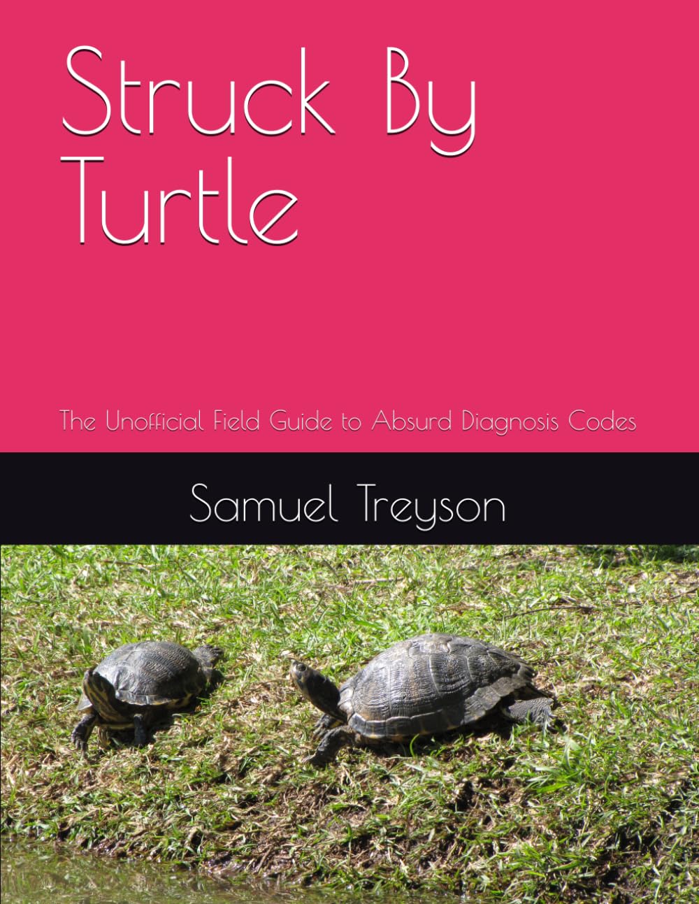 Struck By Turtle: The Unofficial Field Guide to Absurd Diagnosis Codes
