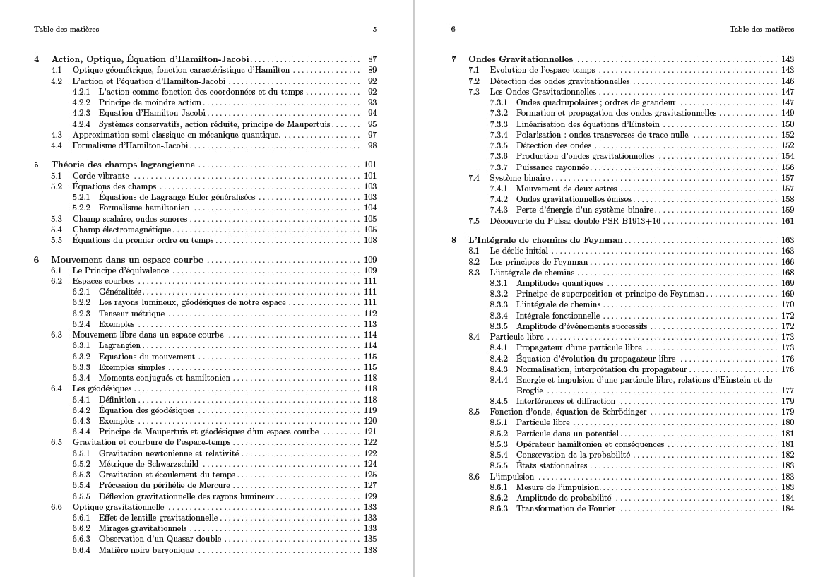Principes variationnels de la physique: Cours et applications