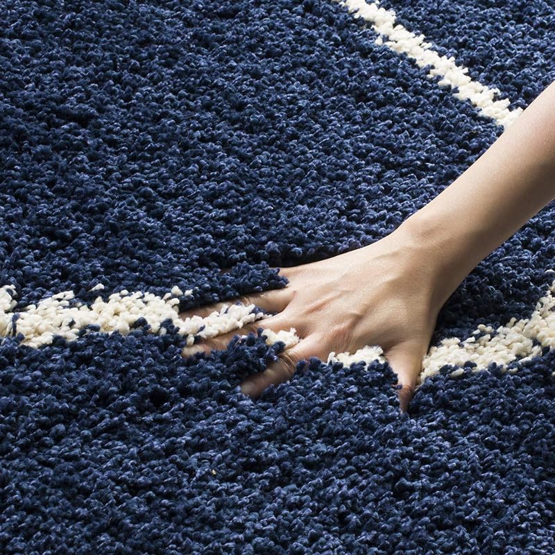 Image of TRANQUIL Polyester Fluffy Fur Rug Shaggy Modern Carpet for Living Room, Bedroom, Guest Room, Kids Room (6x9 Feet, Blue Box)