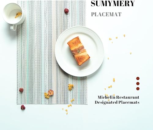 Miniatura 4 de Juego de 4 manteles individuales tejidos de vinilo y plástico para la mesa de la cocina para interiores y exteriores, lavables, manteles