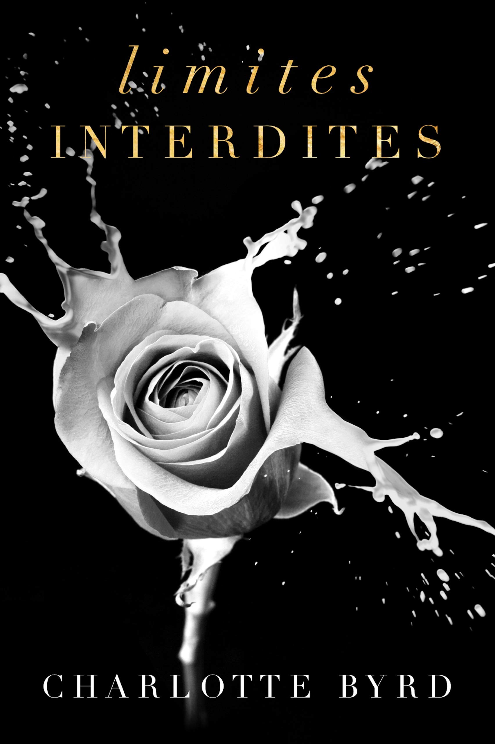 Limites interdites (Soirée interdite t. 5) (French Edition)