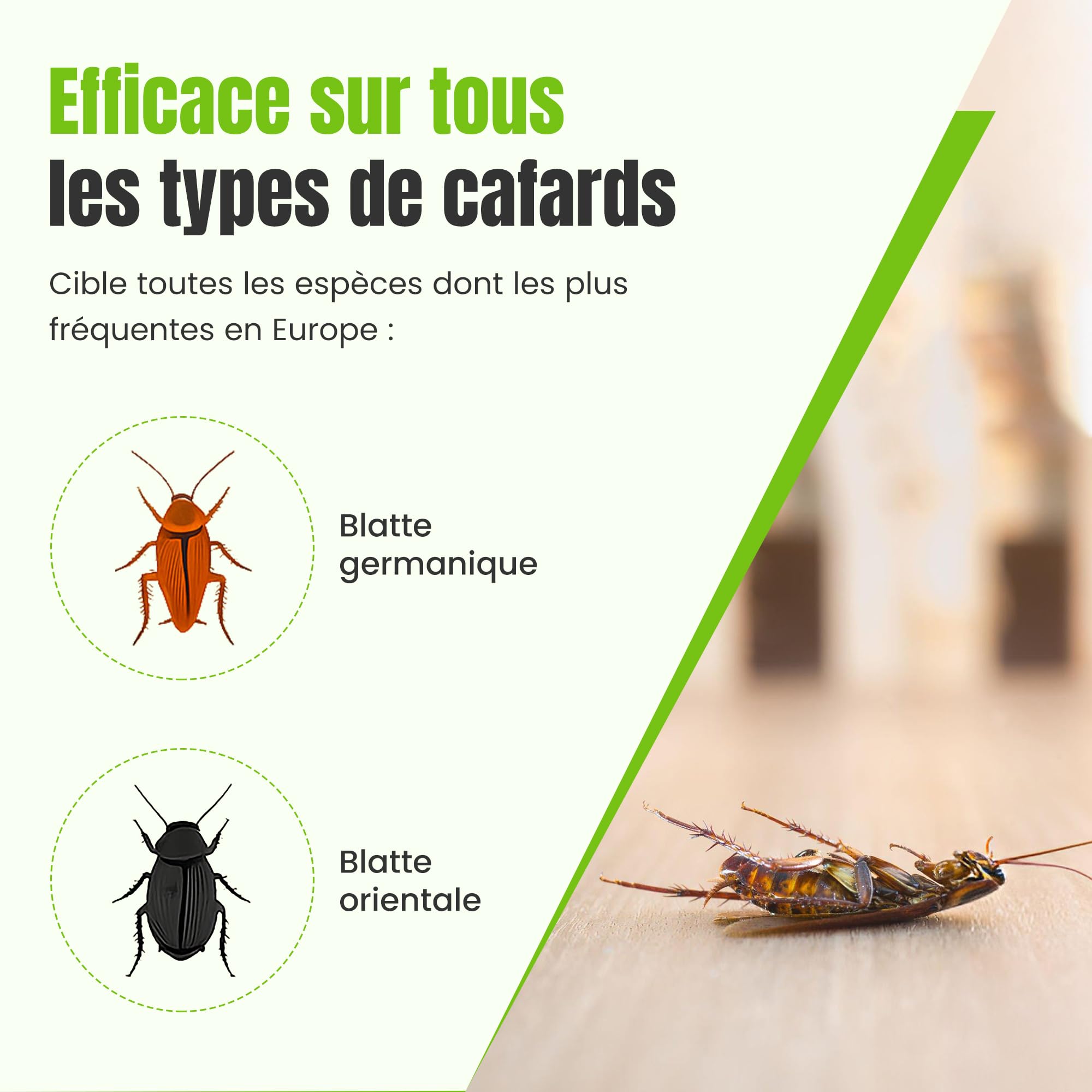 NOXIBLATTE 2000 Gel Anti Cafards 30g [Made in UE], Insecticide Blattes, Produit pour Blattes de qualité Professionnelle, Gel puissant en seringue, Appât idéal pour recoins difficiles