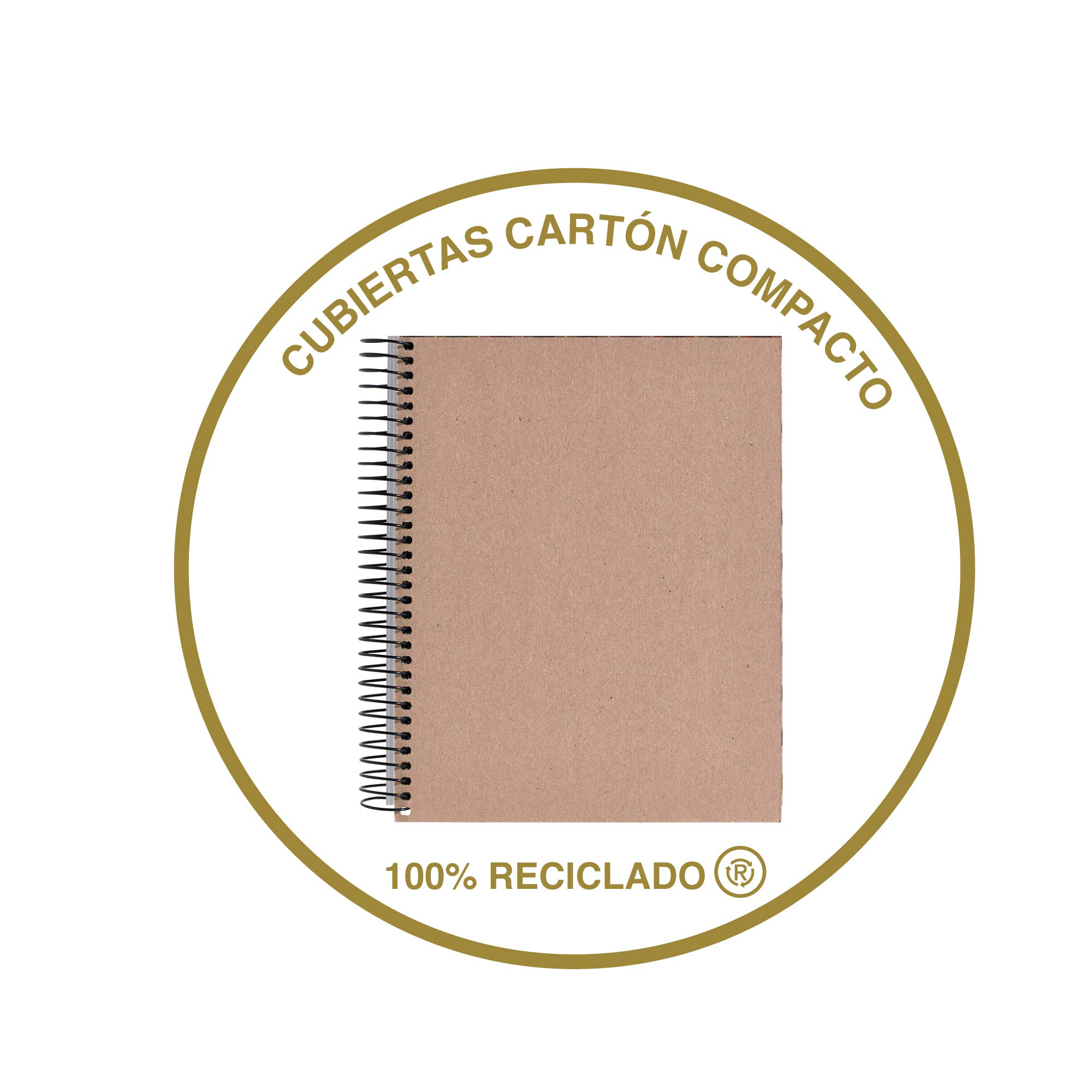 Miquelrius 2936 – część zamienna 4 kartony foliowe ecojohas M (DIN A5, 148 x 210 mm, 120 arkuszy, 80 g/m², w linie)