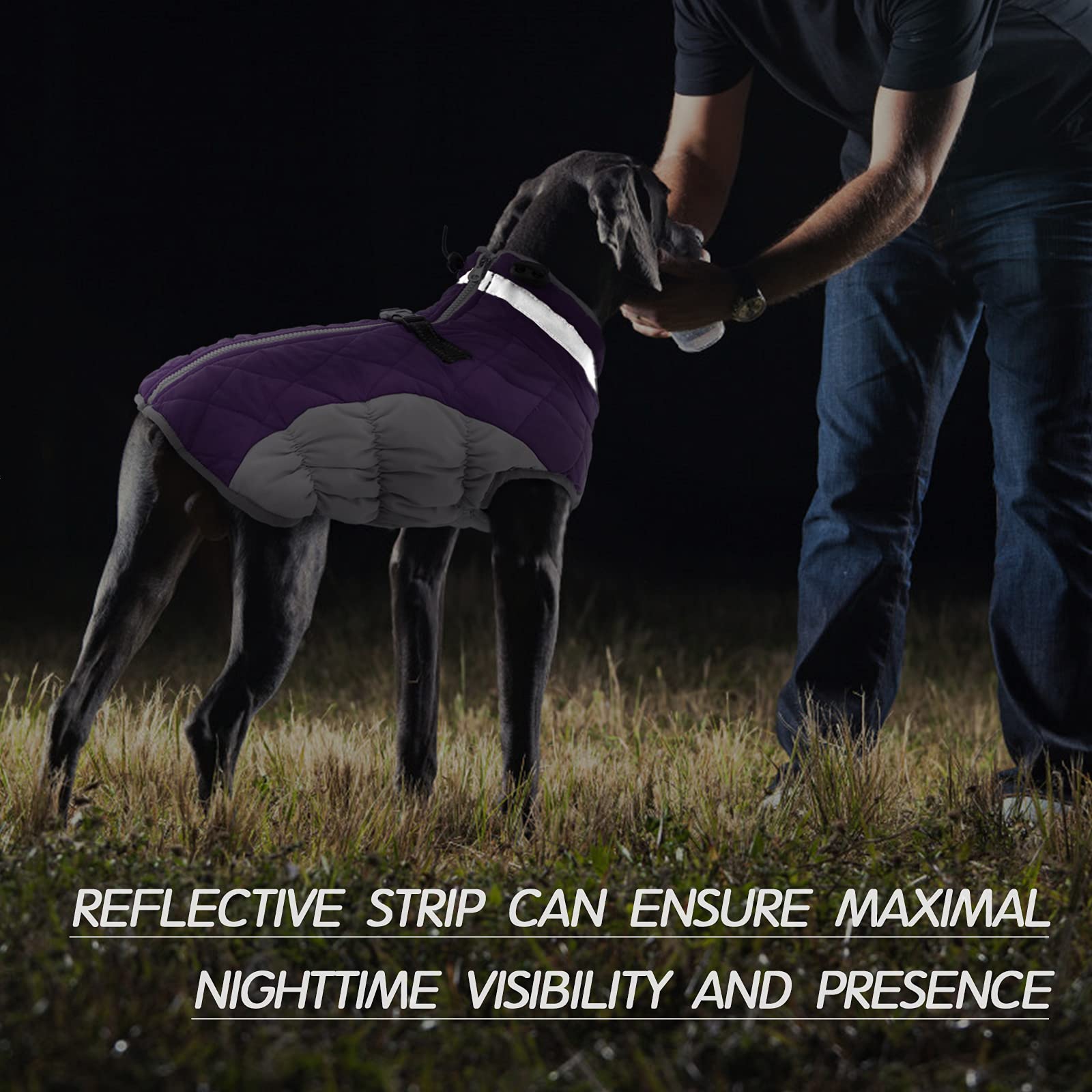 FUAMEY Chaleco acolchado para perro – Abrigo reflectante de invierno para perro, resistente al viento, chaqueta de invierno, cómoda ropa de perro para clima frío – Chaleco a prueba de nieve para