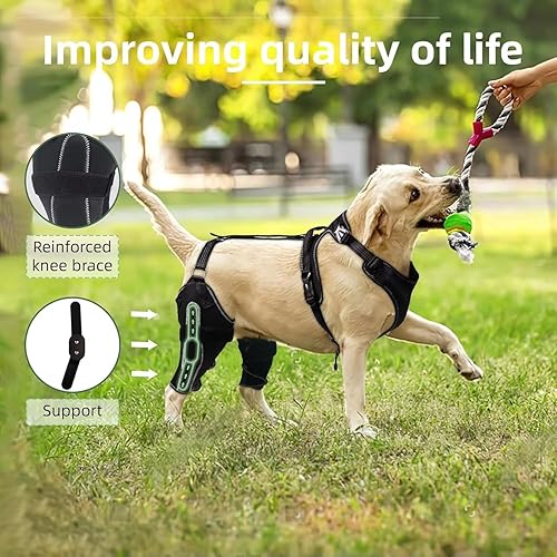 Miniatura 2 de Rodillera para perro para lesiones de ACL/CCL, ligamento desgarrado, alivio del dolor, calor en las articulaciones, rótula luxante, soporte de